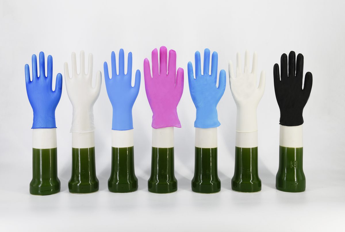 Should You Always Choose the Cheapest Disposable Gloves?