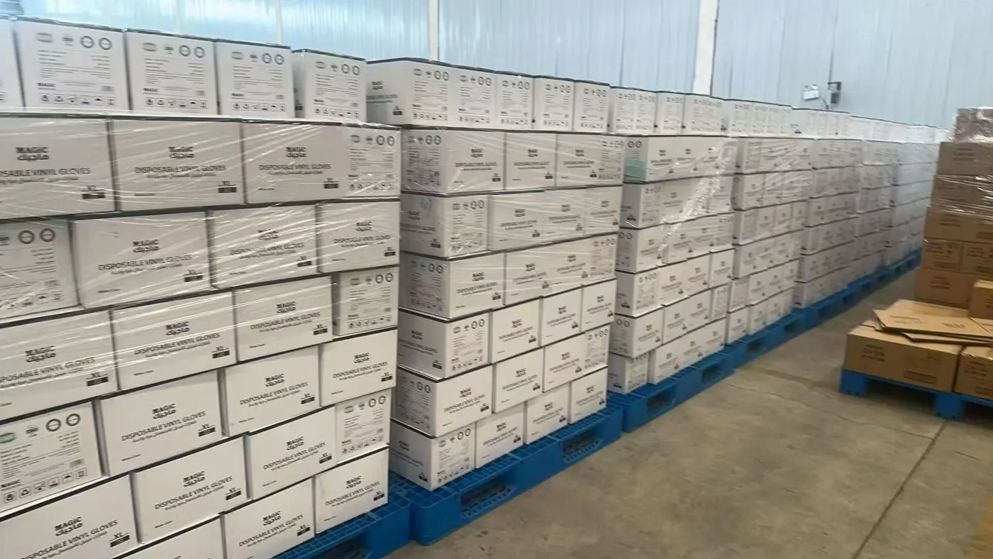 Private label disposable vinyl glove cartons prepared in warehouse