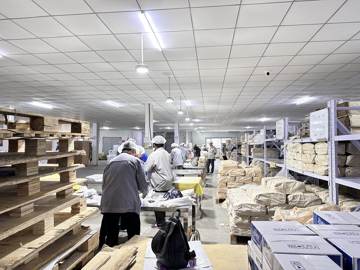 Why Low MOQ Disposable Gloves Can Be a Smart Choice for New Buyers
