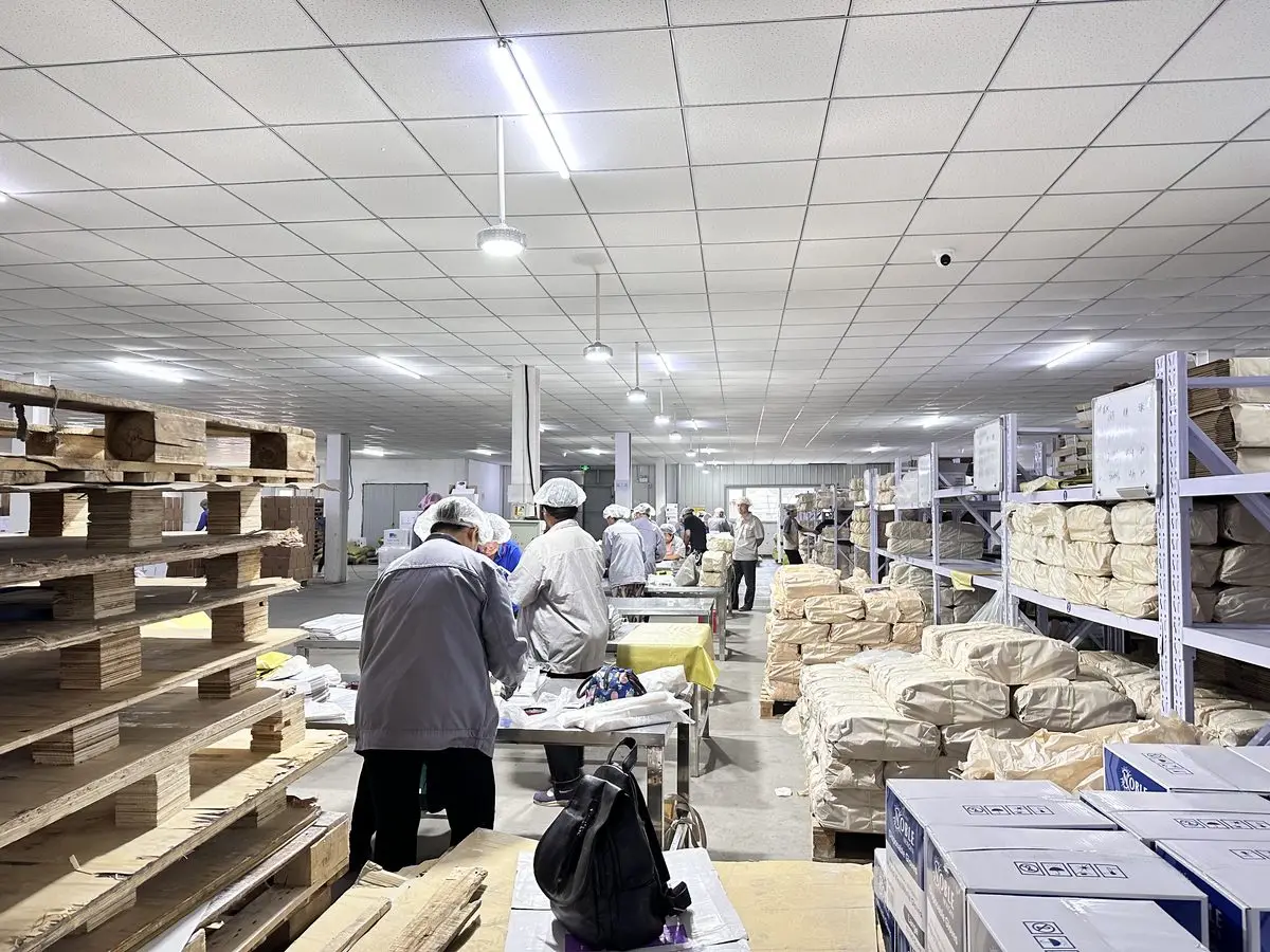 Disposable glove packaging workshop