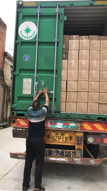 Glove cartons loaded in an export container