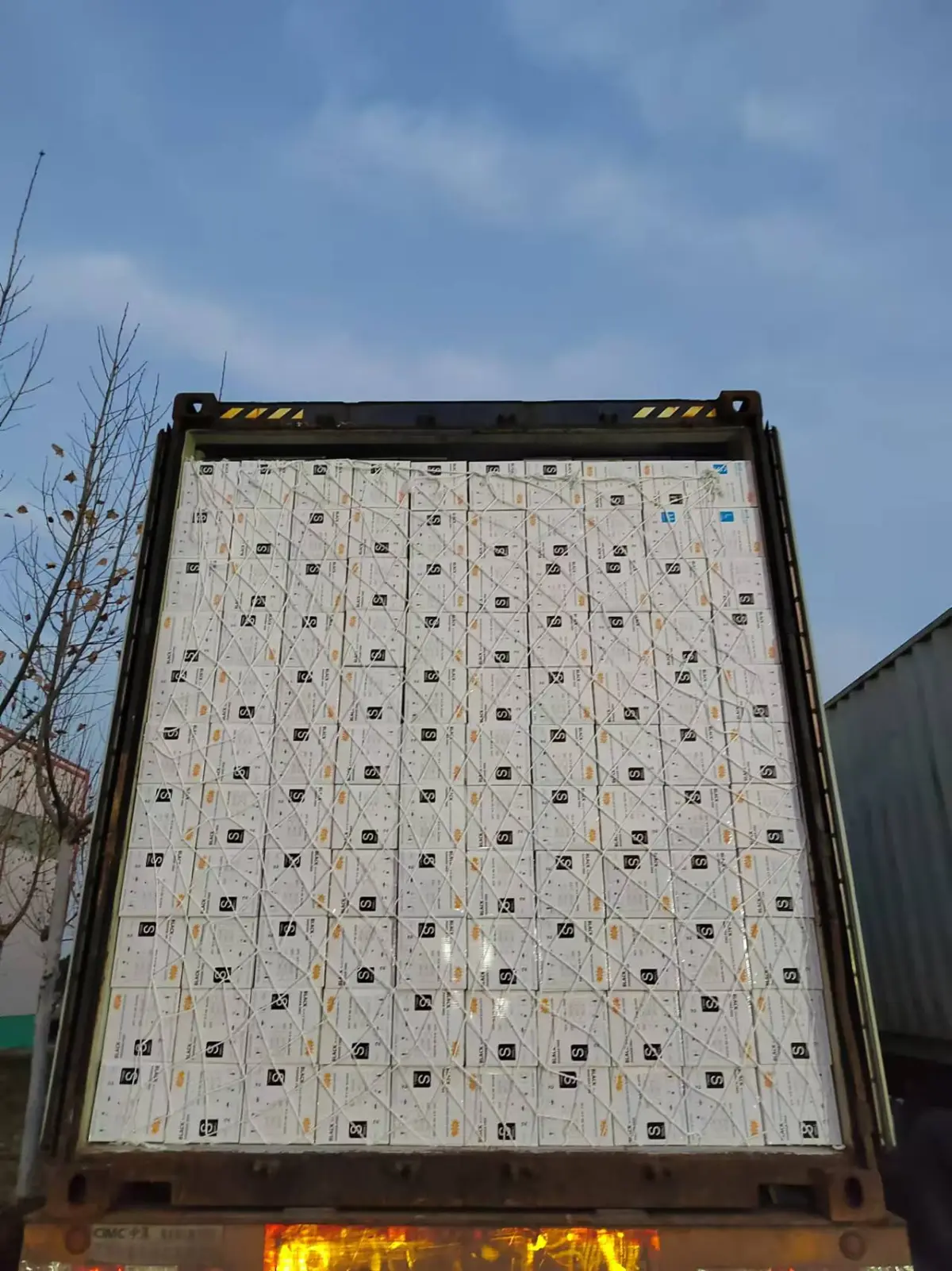Private-label glove cartons loaded for export